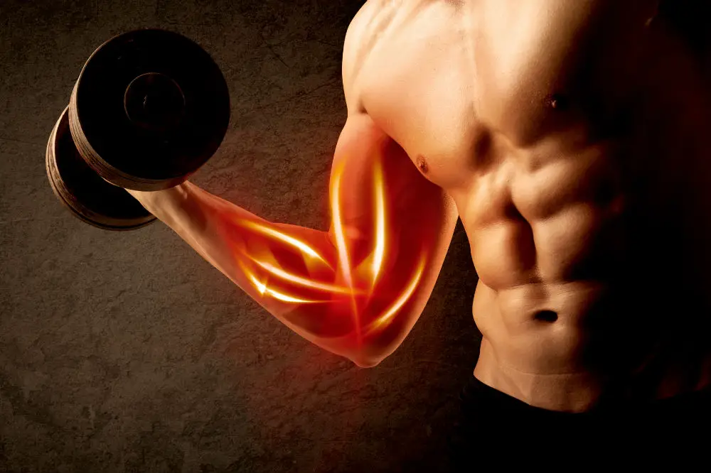 How Long Does It Take to Build Muscles