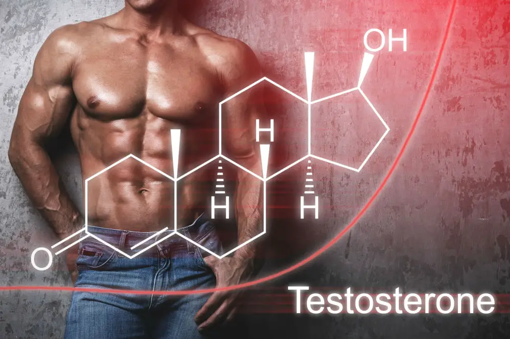 Best Testosterone Booster for Muscle Gain